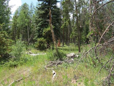 6891 Brook Forest Dr, Evergreen, CO, 80439