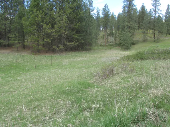 1011 Westover Rd, Colville, WA 99114