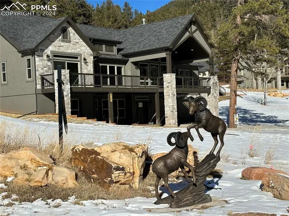 931 Spacious Skies Dr, Woodland Park, CO 80863