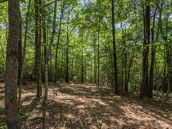 3rd image of Pack Mountain Rd