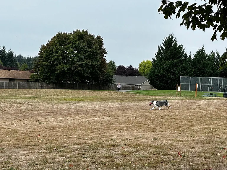 Dog park nearby!