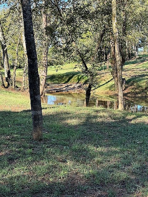 2nd image of 443 Carters Creek Pike