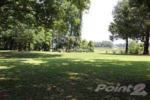 LAWN SLOPING TO WICOMICO CREEK