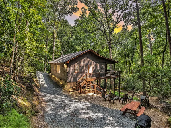 680 Hidden Lake Dr, Cherry Log, GA 30522