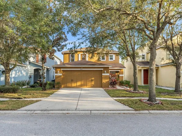 31607 Spoonflower Cir, Wesley Chapel, FL 33545