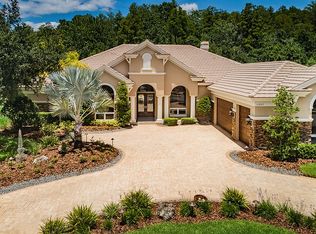 11827 Shire Wycliffe Ct, Odessa, FL 33556
