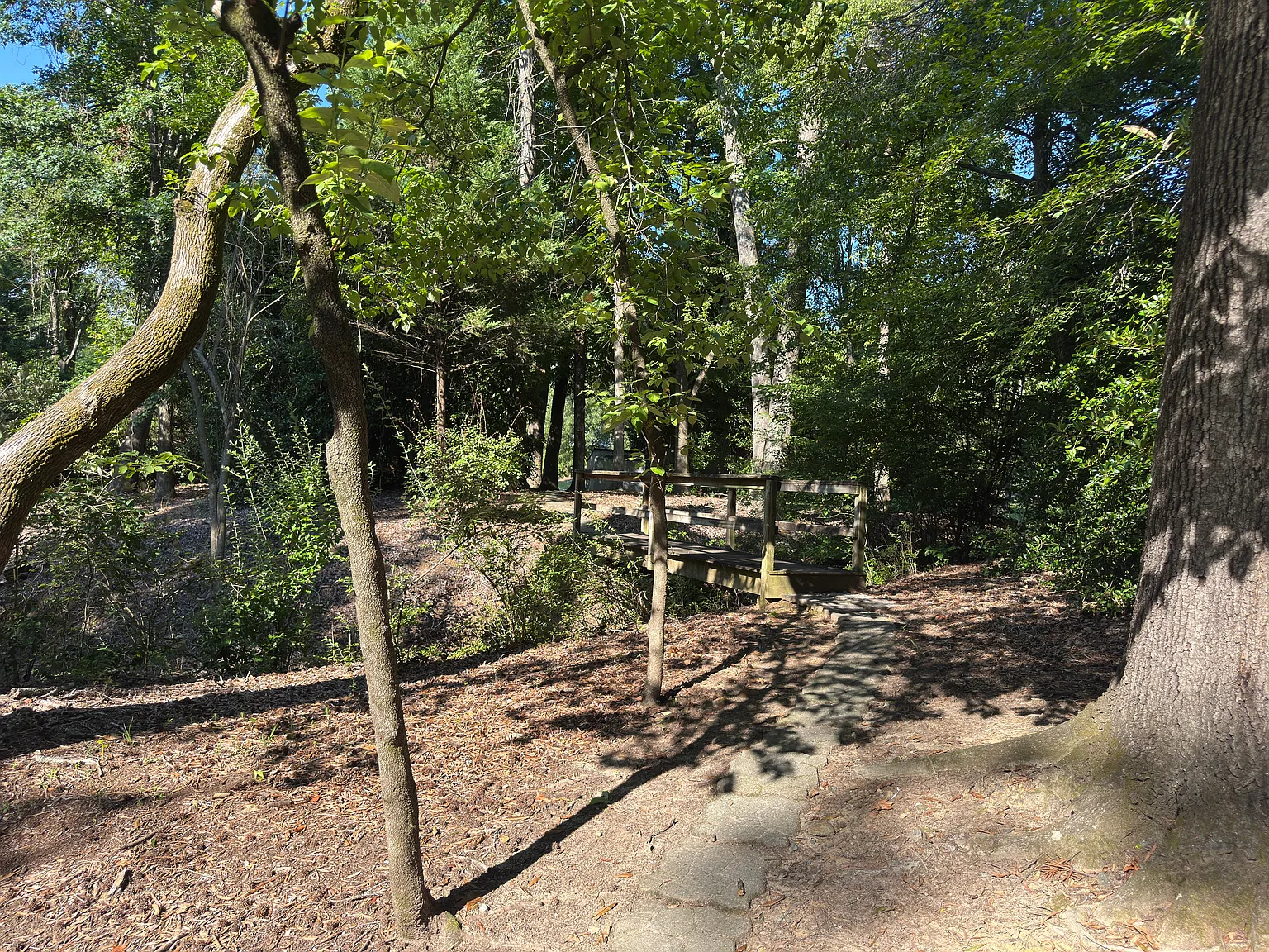 2 bed, 960 sqft, $1,250 — Photo 2