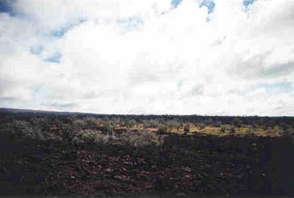 4th image of Highway 11 Lot 1