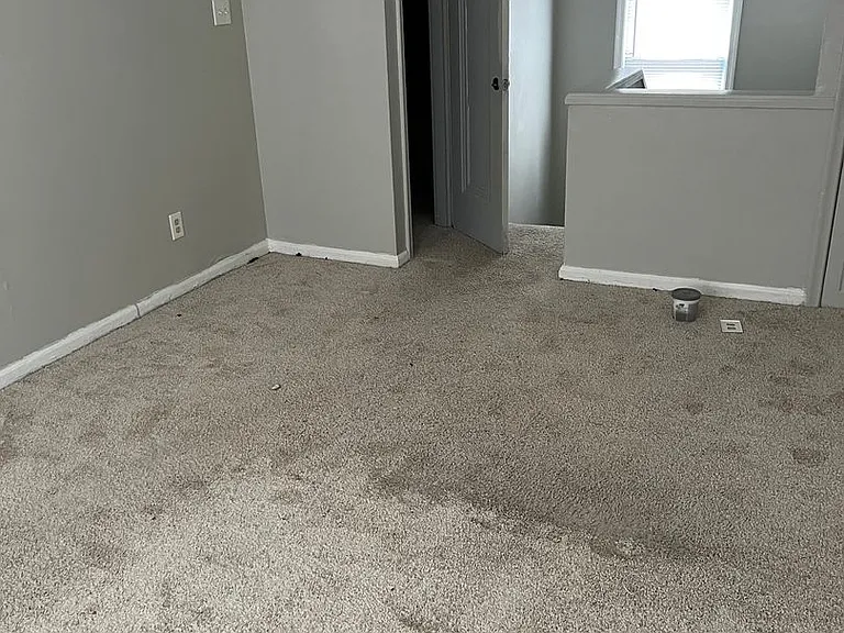 10692 Meuse St — Photo 13