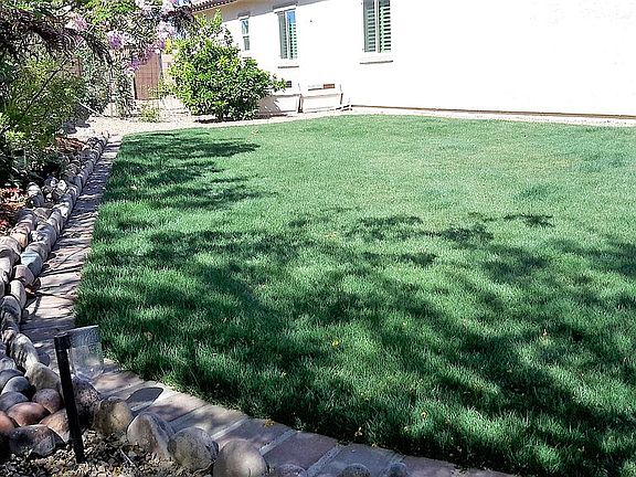 irrigated sideyard