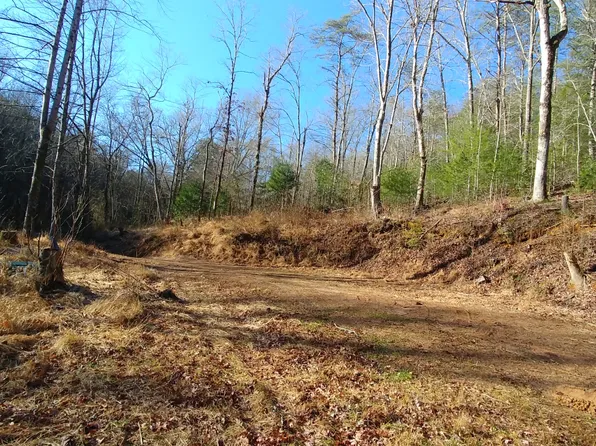 352 Goose Island Rd, Cherry Log, GA 30522
