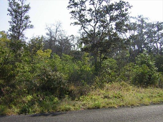 2nd image of Tiki Ln Lot 21