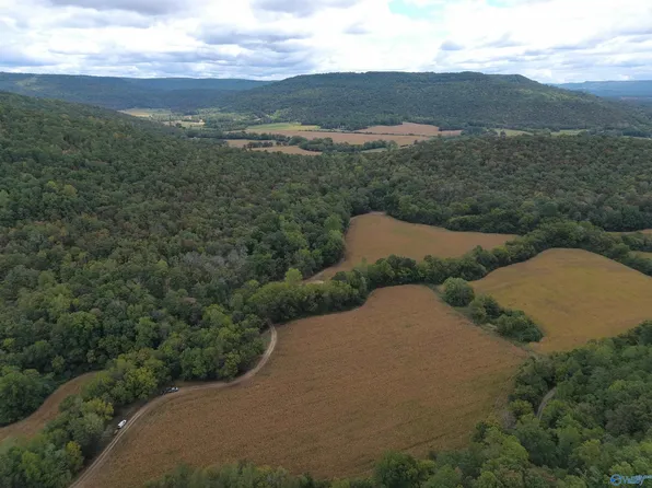 County Road 104, Stevenson, AL 35772