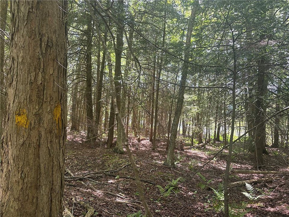 1st image of County Road 42 Lot 1
