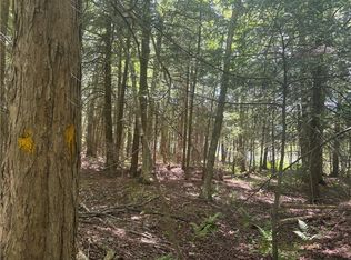 County Road 42 Lot 1, South Plymouth, NY 13844