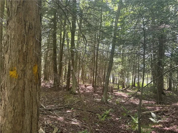 County Road 42 Lot 1, South Plymouth, NY 13844