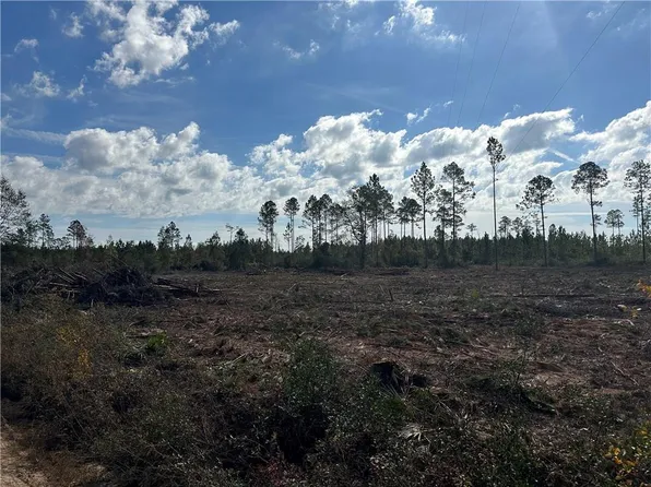 LOT 3 Tv, Millwood, GA 31552