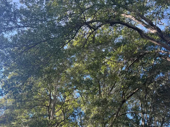 Unassigned Hines Ln, Braxton, MS 39044