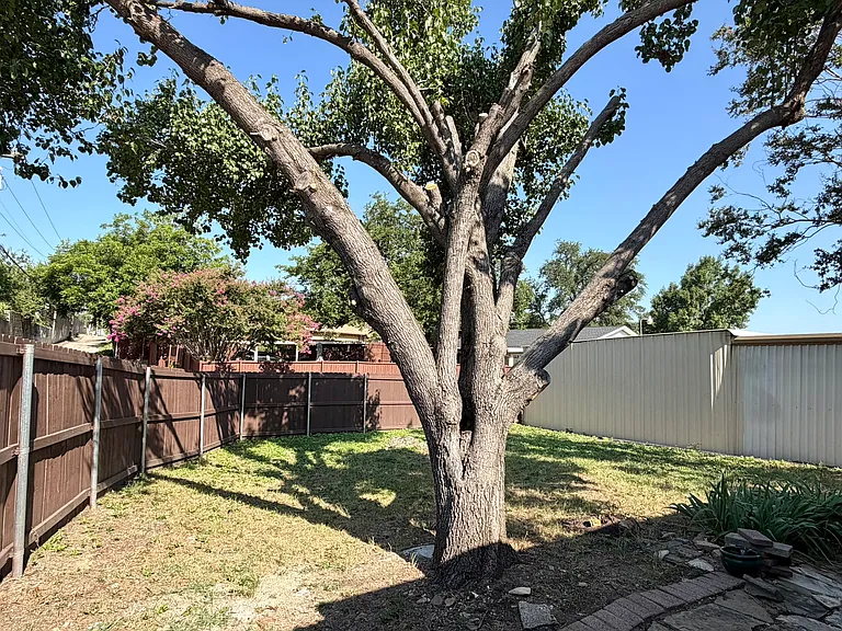 2829 Arcadia Ln — Photo 10