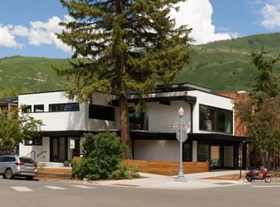 602 E Hyman Ave #1, Aspen, CO 81611