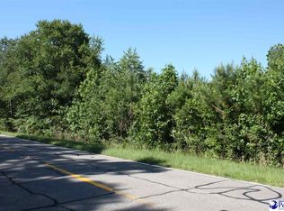 0 Choppee Rd, Hemingway, SC 29554