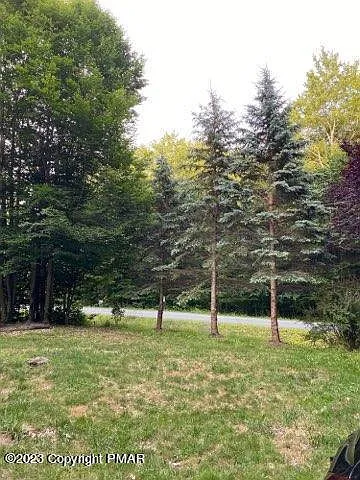 125 Magnolia Dr — Photo 2