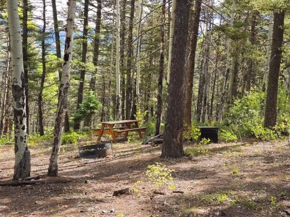 5878 Loubier Road LOT 5878, Fort Garland, CO 81133