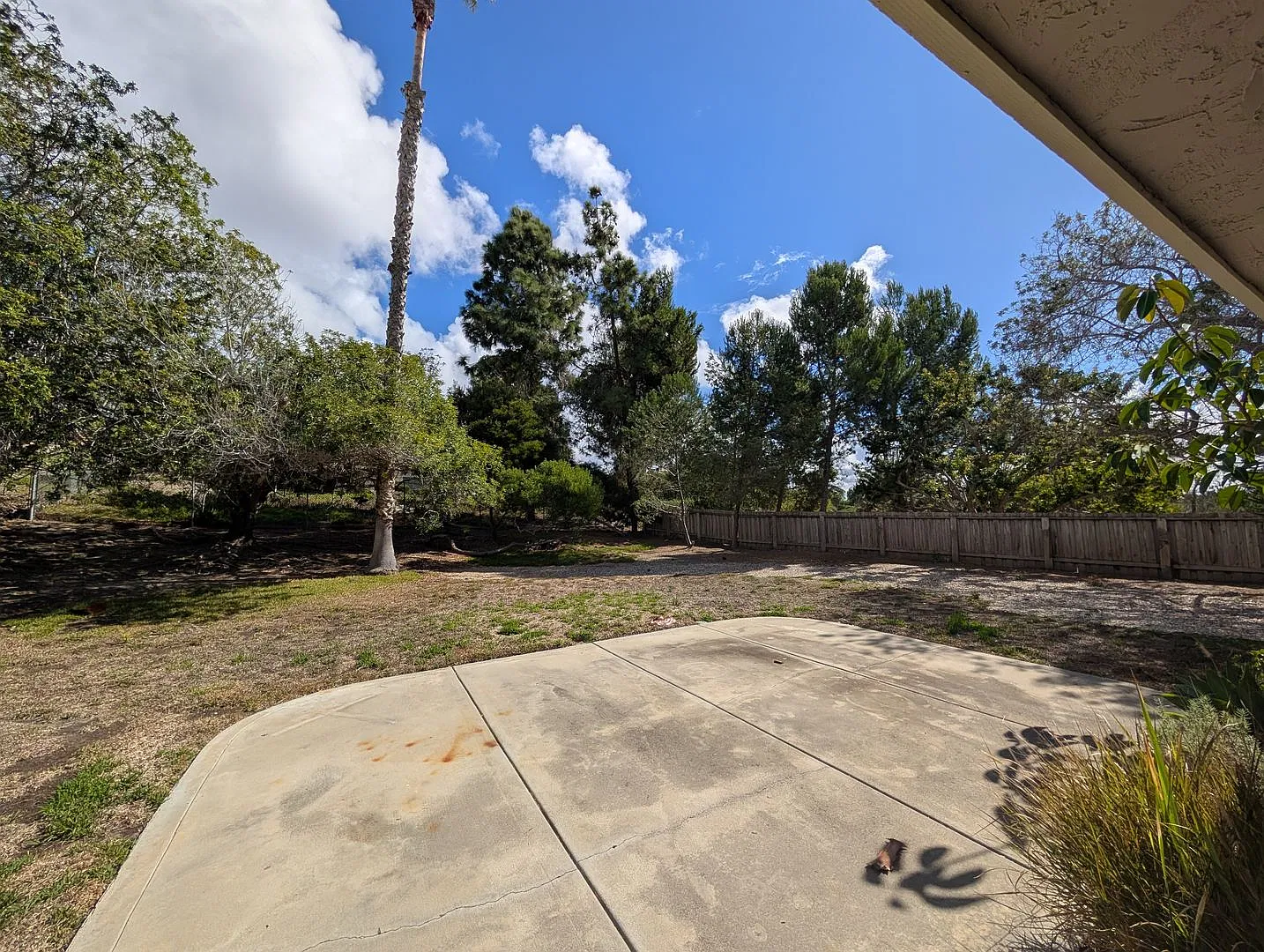 Single Level Desirable 4 Bedroom Home in Hennie Hills! — Photo 4