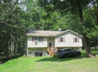 221 Buck Ridge Dr, Drums, PA 18222