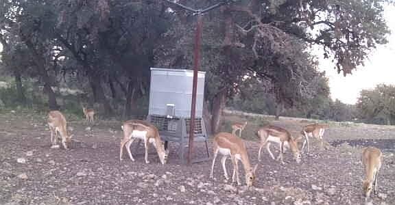 5th image of 3180 County Road 551