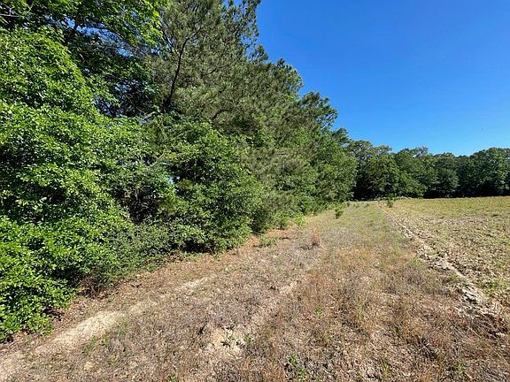 3rd image of 0 County Road 2138