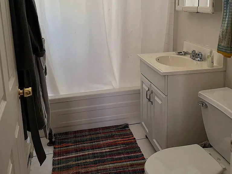 732 W Roscoe St #1S — Photo 8