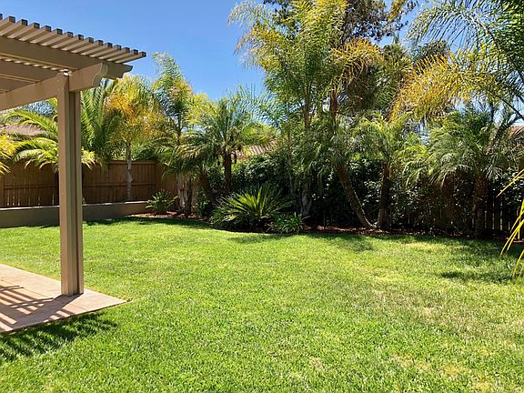 Spacious Back Yard