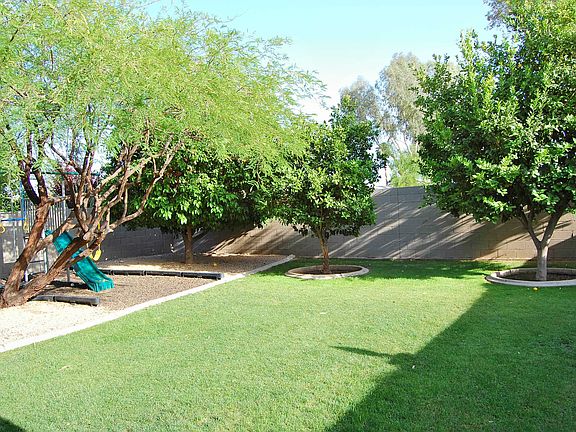 Backyard & Play Area