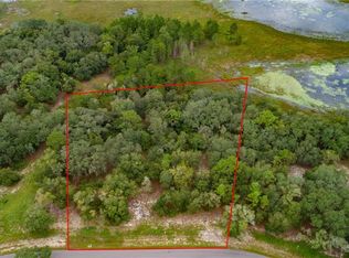 3138 Bright Lake Cir, Groveland, FL 34736
