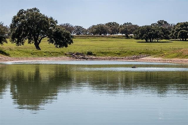 1st image of 4503 W Highway 290