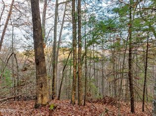 LOT 81 Whetstone Rd, Sevierville, TN 37862