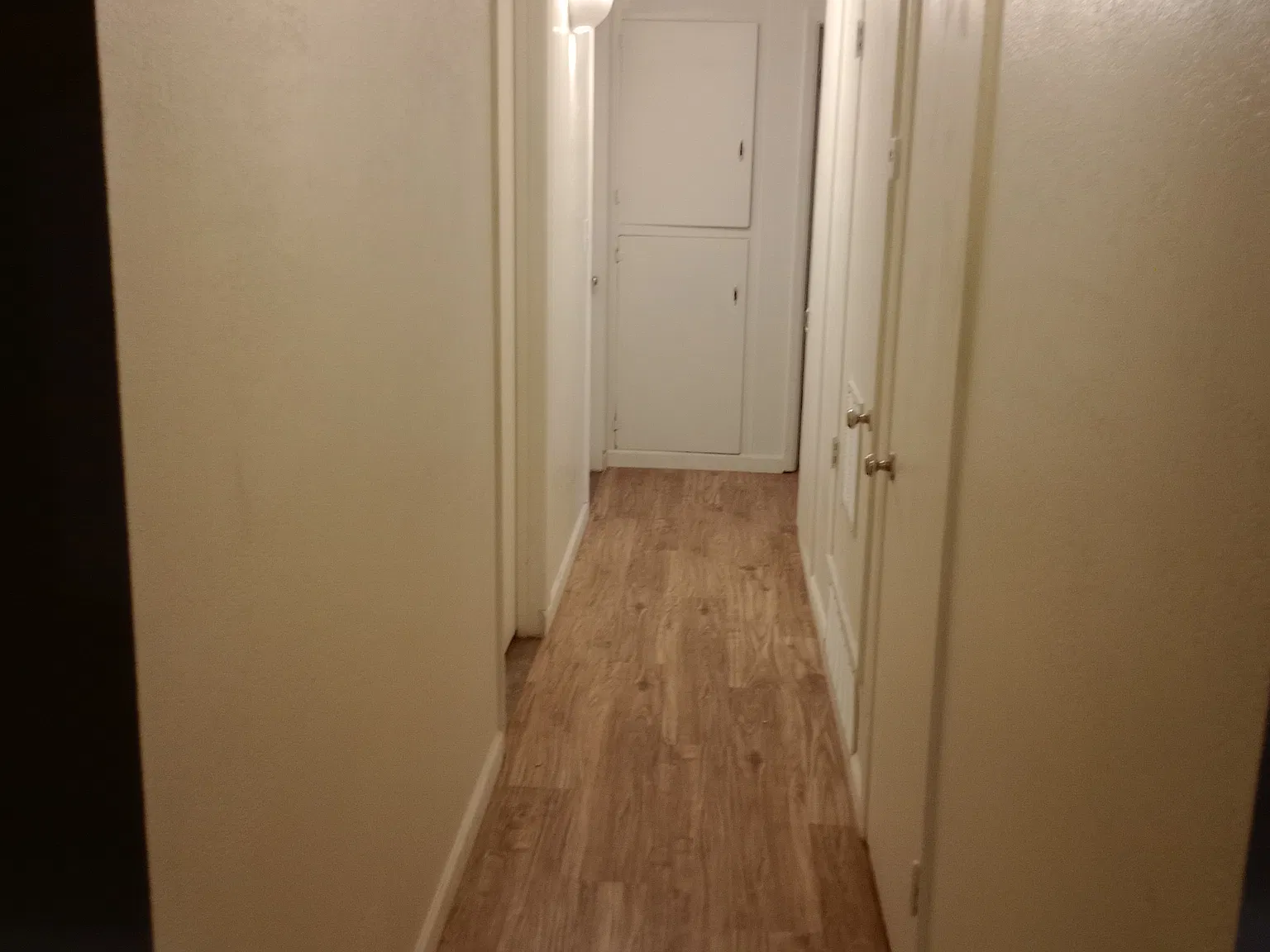 3 bed, 1189 sqft, $1,600 — Photo 3
