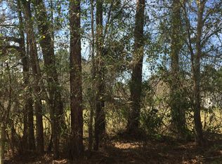 0 Scott Rd, Saint Johns, FL 32259