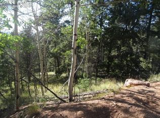 210 Rampart Cir, Florissant, CO 80816