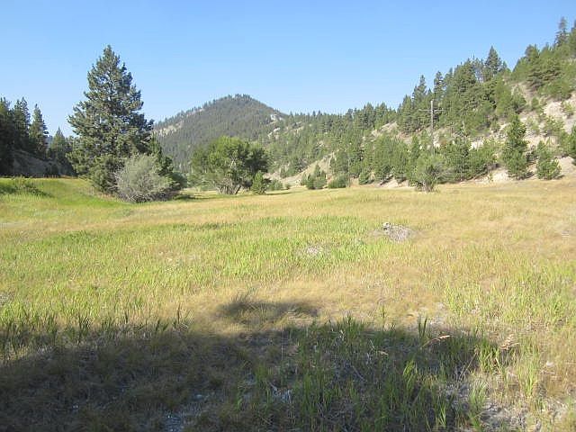 1st image of 1340 Oro Fino Gulch