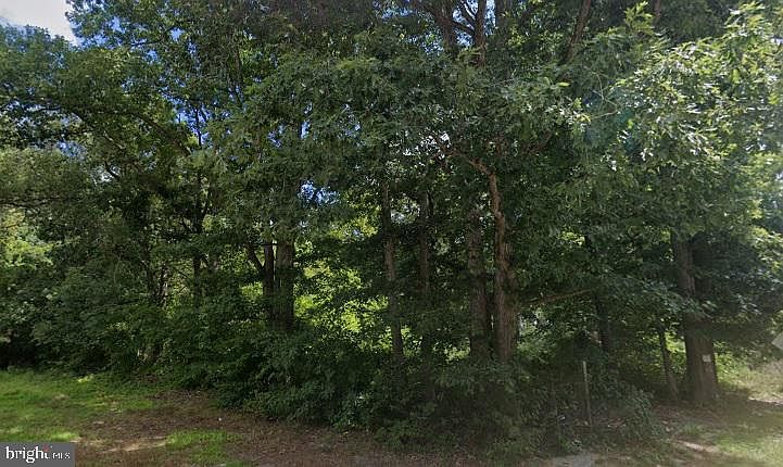 2nd image of 28245 Fisher Rd