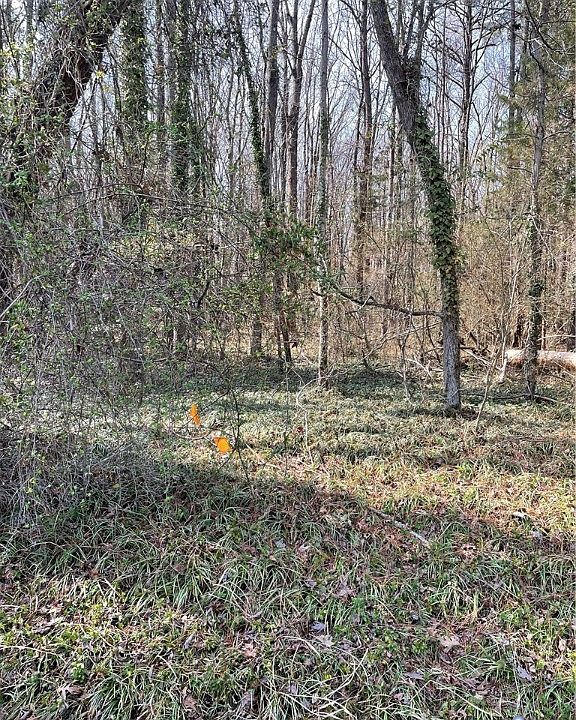 1st image of 0 Laurel Park Rd Lot 22