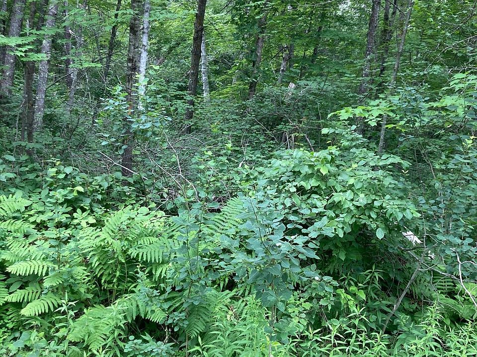 1st image of LOT 3 Summer Dr
