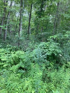 LOT 3 Summer Dr, Pequot Lakes, MN, 56472