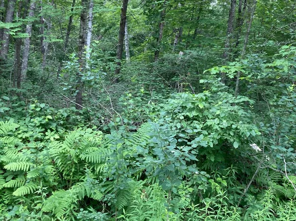 LOT 3 Summer Dr, Pequot Lakes, MN 56472