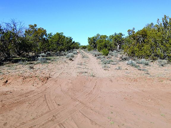 5th image of 8.96 Acres N7407 -- #382,38