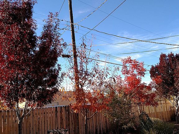 5th image of 913 Pampas Dr SE