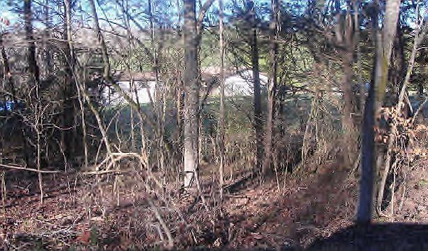 2nd image of 180 Long Rd