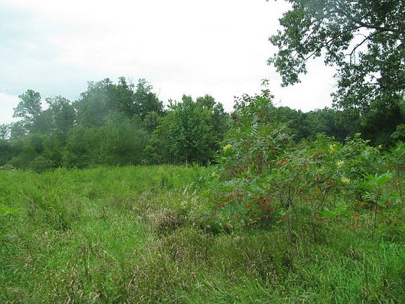 2nd image of 100 Harmony Hills Dr